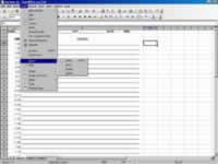 Open Office Calc Screen Shot