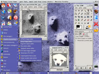 PuppyLinux Screenshot