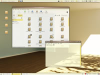 Ubuntu Screenshot