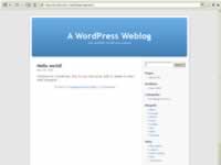 WordPress Screenshot